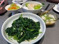清炒苕尖-俏立方·15年新楚菜