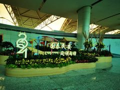-广州白云国际机场-T2航站楼