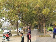 -新江湾城公园
