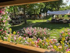 -HERRE·FARM 赫尔露营农场·团建聚会包场