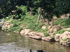 -大连森林动物园