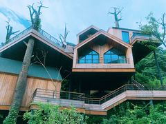 -杭州开元森泊度假乐园