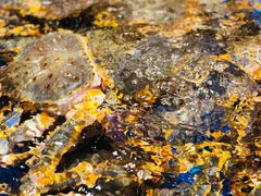 -盒马鲜生(顺义店)