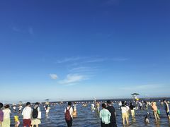 -碧海金沙