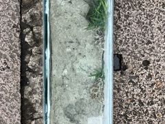 -蔡元培故居