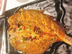 -九府羊·鲜羊火锅·烤串(新华路店)