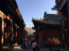 -五台山风景名胜区-罗睺寺