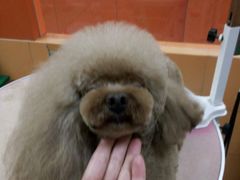 -惠康宠物医院(华能路店)