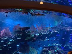 -迪拜帆船酒店海底餐厅