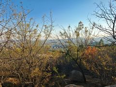 -白水寺森林公园