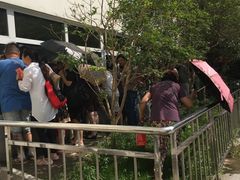 -沈坚强游泳俱乐部(长征分部)