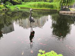 -苏州河梦清园环保主题公园