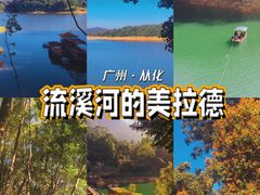 -广州市流溪河国家森林公园