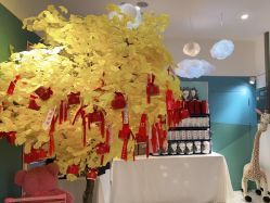 -西安伊美尔医疗美容医院