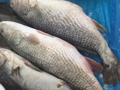 -大城·烧烤海鲜大排档(台东店)