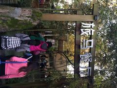 旅马餐厅(茅家埠店)-旅马餐厅(茅家埠店)