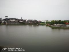 -金卉庄园