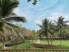 -海南清水湾莱佛士酒店