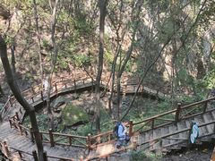-大岭沟猕猴桃谷风景区