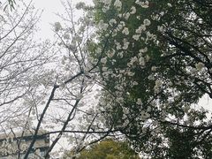 -阳澄湖费尔蒙酒店