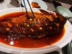 -紫光园·烤鸭(定慧桥店)