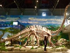 -自贡恐龙博物馆