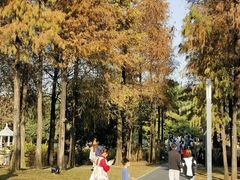 -四海公园(南山区)