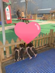 -萌宠亲子动物乐园(槐房万达店)