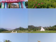 -西海岸生态观光园