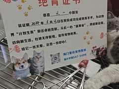 -海门爱心宠物医院