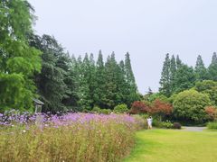 -上海滨江森林公园