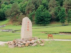 -五营国家森林公园