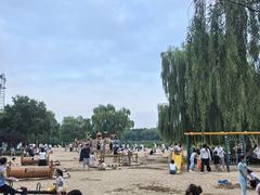 -大兴滨河森林公园