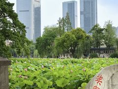 -西南交通大学(九里校区)