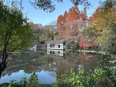 -山外山菜馆(玉泉路店)