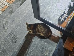 -猫员外精酿啤酒馆(聚豪园店)