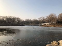 -大兴滨河森林公园