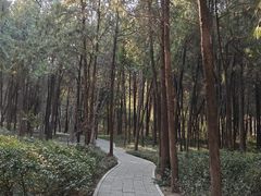 -千佛山风景名胜区