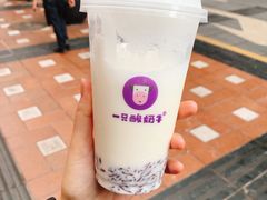 原味酸奶紫米露-一只酸奶牛(八一路店)