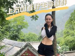 -北京上方山国家森林公园