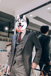 点击看大图 -优刻西服西装定制(金轮国际广场店)