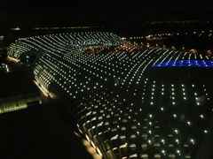 外景-深圳湾木棉花酒店