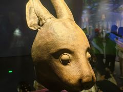 -广西壮族自治区博物馆