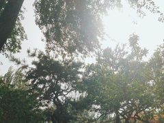 -丰台花园