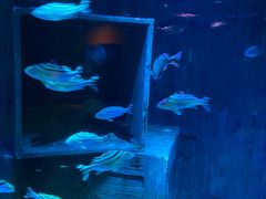 -沈阳海洋探索中心