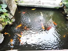 -北园酒家(小北路店)