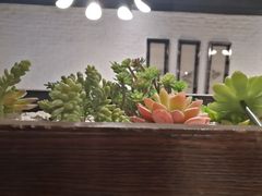 -拈菜(观音桥阳光世纪店)