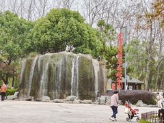 -合肥滨湖国家森林公园