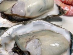 -圣罗巴海鲜自助(黑金店)