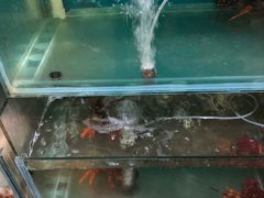 -王四营海鲜市场
